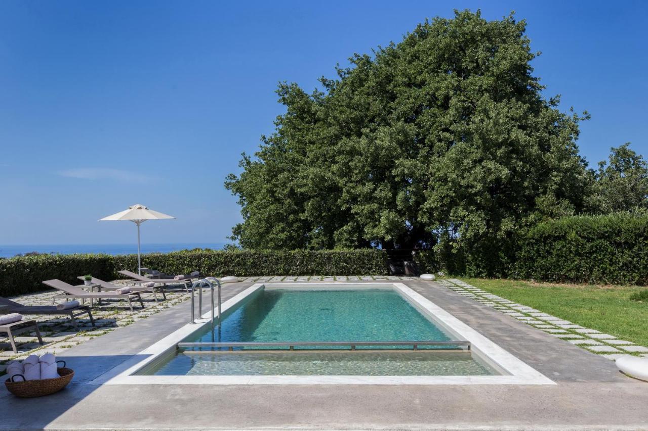 Lux Villa Mia With Heated Pool, 2Km To Beach & Childrens Area! Mikro Metochi 外观 照片